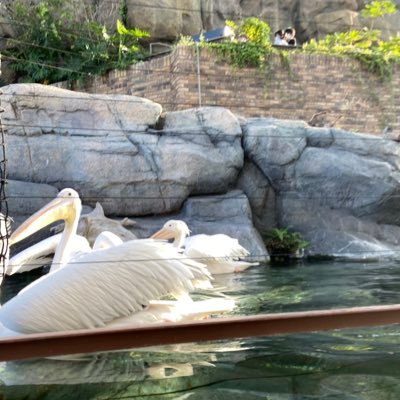 kqeESE7UgxbJMPW's profile picture. 