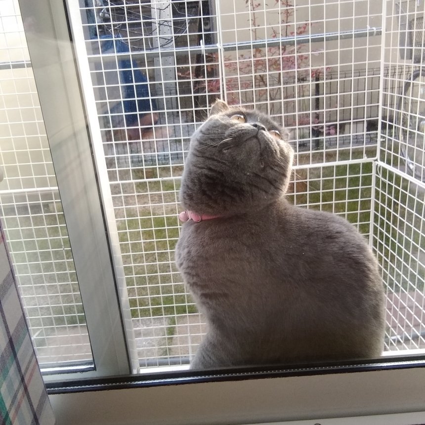 Kano97365110's profile picture. ♥全国対応可能♥💗
経営者等の色々と余裕のあるママと
事情のある方や出会いがないを
マッチさせて充実させてもらっていますっ♪