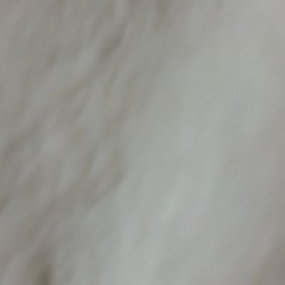 tu2ba2sa0283's profile picture. 28です。ある仕事の管理職 男ですスペ120