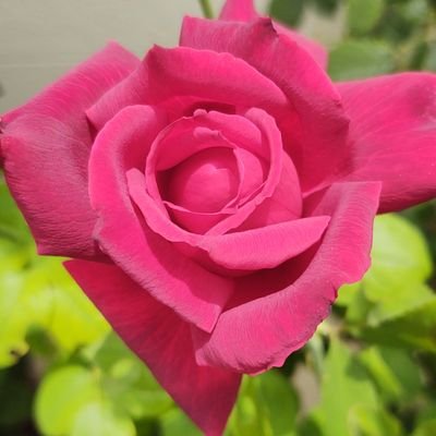 notinurdreams's profile picture. live life to the fullest for you don't know what tomorrow will bring.