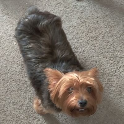 InputLogarithm's profile picture. 