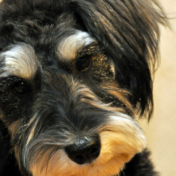 drfukuchan's profile picture. 自転車のってます