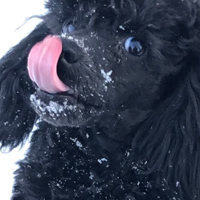 em_es_dee's profile picture. Long time listener, first time follower.