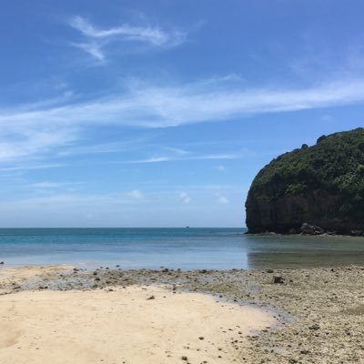 matsu_NP's profile picture. 