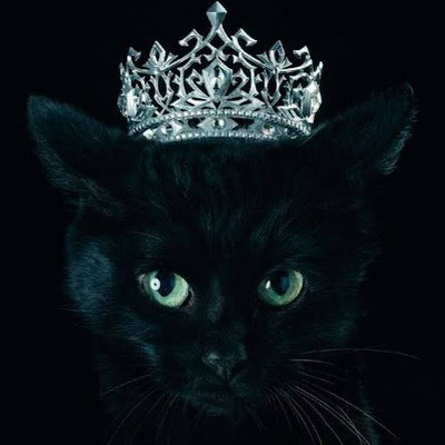 yaolian16778594's profile picture. 