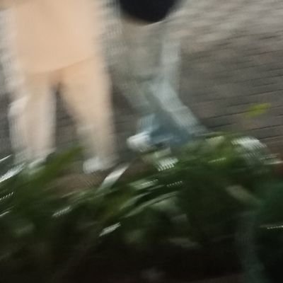 iemm_z's profile picture. ✨ not more, not less just ordinary human🎓