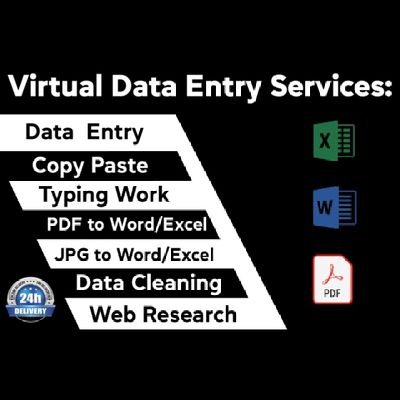 I will do data entry, typing, pdf to word, pdf to excel.