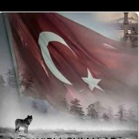 Mustafa Dulkadiroglu(@Mustafa68552824) 's Twitter Profile Photo