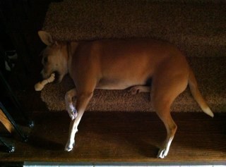 vinnietnp's profile picture. 