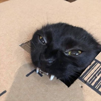 bludsuckaa's profile picture. i 🖤 my bf