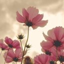 miya park - @Bluewater62 - Twitter