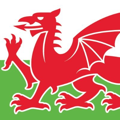 WelshACP's profile picture. multiprofessional advisory group moving the advanced clinical practice agenda forward in Wales #4Pillars #AdvPrac