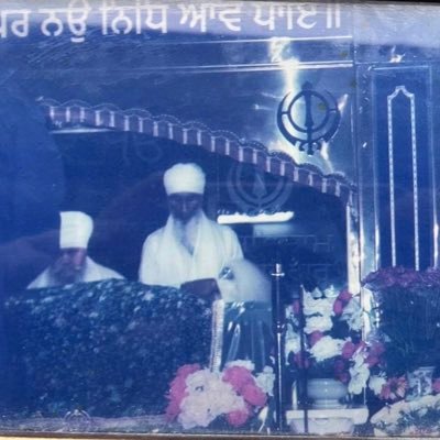 5atvirGill's profile picture. 