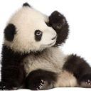 Ulises Rubio - @ulisesre - Twitter