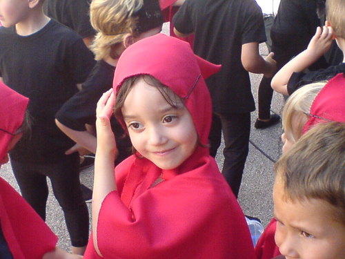 oRevelat's profile picture. Software Architect