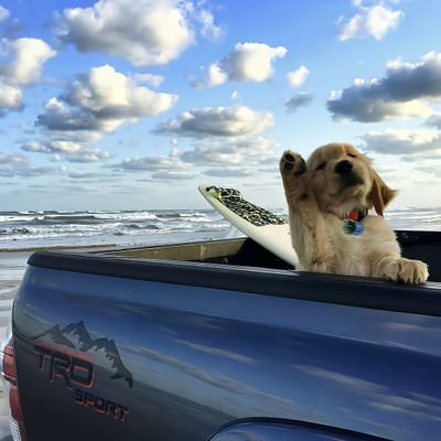 xiaosi63's profile picture. happy