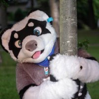 Jay (@jaytheferret) 's Twitter Profile