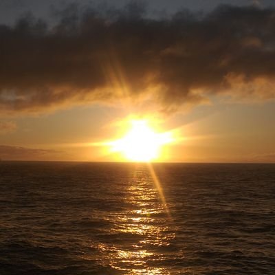 almmenezes's profile picture. 