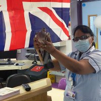 Ward 40 oncology LRI (@40lri) 's Twitter Profile