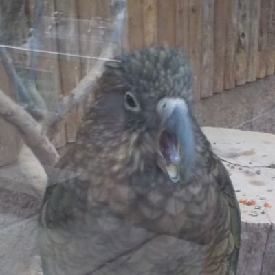 今年から役者として活動を始めました!
役者の方含め様々方たちと繋がれていけたらと思います!!
朗読劇のスタッフとしても務めていますのでよろしくお願いします😀
