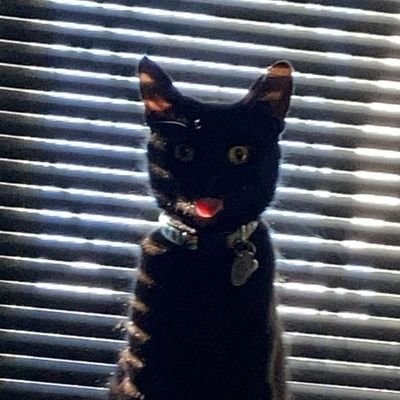 ImSimplySimon's profile picture. I'm the kind of guy that if I look at a bottle & it says concentrate.. I stare at it for hours. 

he/they/him