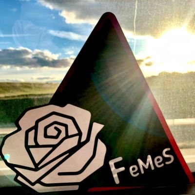 Feminista de Izquierda preocupada por el presente.
Integrante de FeMes