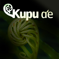 kupuae's profile picture. We are a leadership development consulting company facilitating positive growth for individuals, teams and the community through experiential learning.
