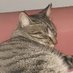 Alle Bolo (@alessan98748089) Twitter profile photo Alle Bolo (@alessan98748089) Twitter profile photo