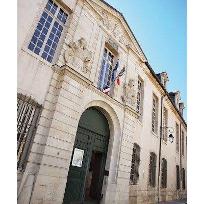 archives_or's profile picture. 