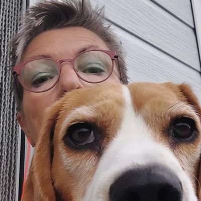 Krossie11's profile picture. Iets aardigs zeggen mag altijd. Amateurschilder. 
*laat iedereen in zijn waarde