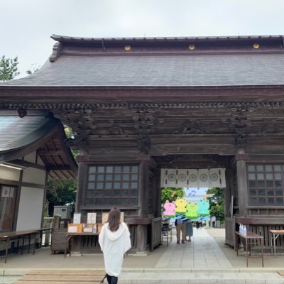 プロトレーダーが身内すぎて喧嘩になるから教えて貰えない系女子／トレードを密かに勉強中／平和な癒し言ノ葉探し(FX・言ノ葉専用垢)🕊𓈒 𓂂𓏸