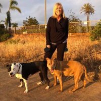Jill-Ellen M (@jillellenm) 's Twitter Profile