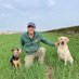 Paul Temple (@paulwoldfarm) Twitter profile photo Paul Temple (@paulwoldfarm) Twitter profile photo