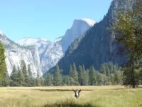 Amukzak's profile picture. 数年前に山小屋で見た御来光に感動して以来、山の魅力にとりつかれ、山歩きを始めました。 が、今は3歳の娘とアンパンマンごっこしています。(^o^)
最近、ボウリングを始めました 。(2011年9月)
Facebook:https://t.co/2pNxwTyvQr