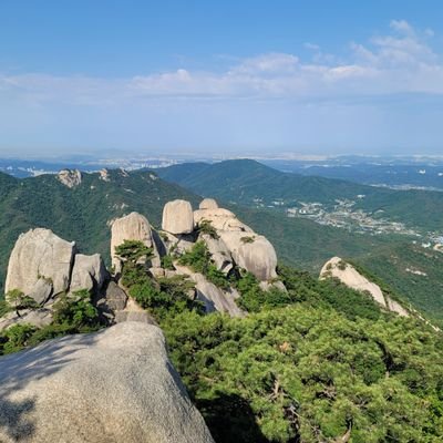 4de5e930ff16472's profile picture. 