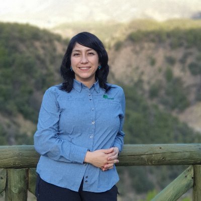 Merc_Jorq's profile picture. Por un Chile más verde, sustentable y digno.