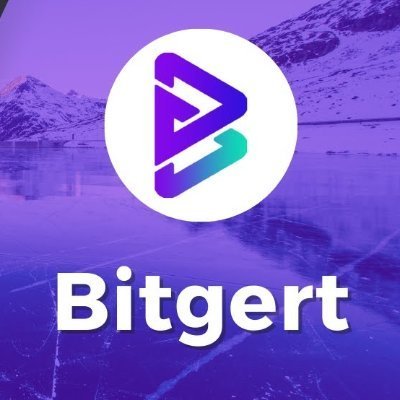 amirarsalan_sha's profile picture. 