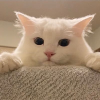 細々とやってましたがこれからはリア非リア問わず仲間やネットワークを拡げていければと思います。絡んでいただけたら幸いです☺️宜しくお願いします✨