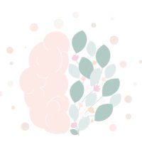 سمر الماص🌸 (@samar_almass) 's Twitter Profile