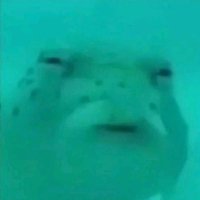 ร้านพิชรับกด *:･ﾟ🧃 (@pcmfz19) 's Twitter Profile Photo