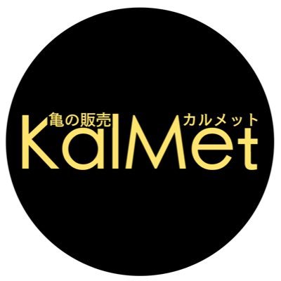 亀の販売KalMet【カルメット】です!お問合せは公式LINE(https://t.co/FpBv7ONdIm)でお友達になってからお願いします。 また、HP(https://t.co/32UoNxJH5c)とInstagram(https://t.co/r4HHVuF1vr)もよろしく!