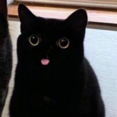 NJ_yoko's profile picture. 