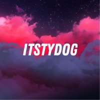 itstydog(@multitydog) 's Twitter Profile Photo