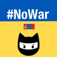 🟡#NoWar(@NoWarMN) 's Twitter Profile Photo