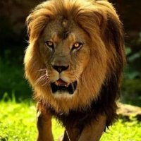 Murat (@murat33948443) Twitter profile photo