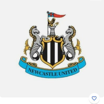 tino1962333's profile picture. massive newcastle utd fan