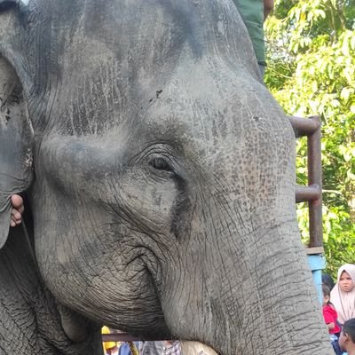 saya pedang sederhana