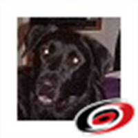 x - Judy Willis (@jwillis708) 's Twitter Profile