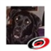 x - Judy Willis (@jwillis708) Twitter profile photo x - Judy Willis (@jwillis708) Twitter profile photo