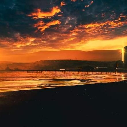 Teresa52605358's profile picture. 